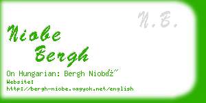 niobe bergh business card